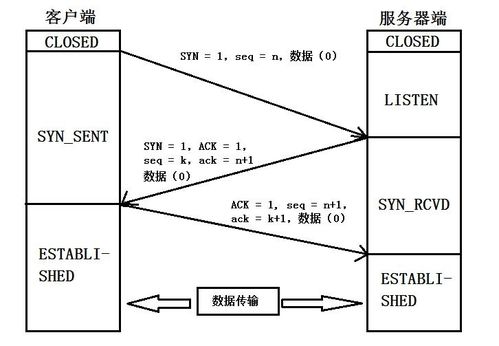 OSI七层协议与TCP连接 数据处理服务的网络架构解析